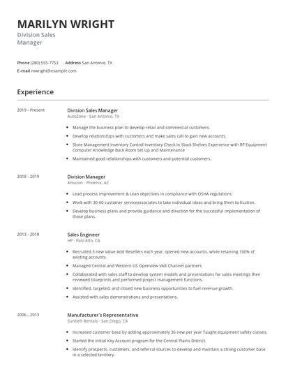 Division Sales Manager Resume
