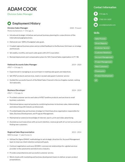 Resume example 5