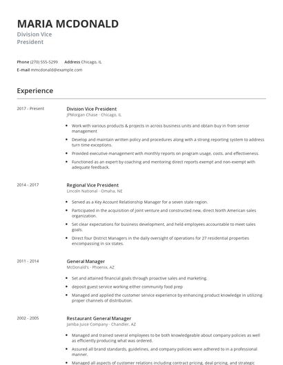 Division Vice President Resume