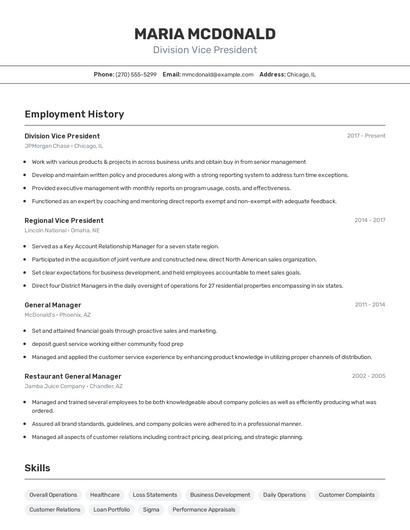 Division Vice President Resume