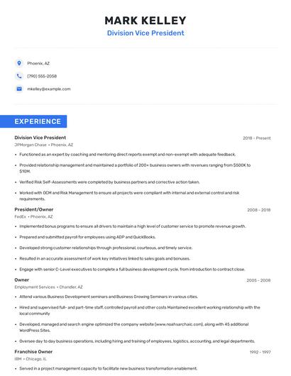 Division Vice President Resume