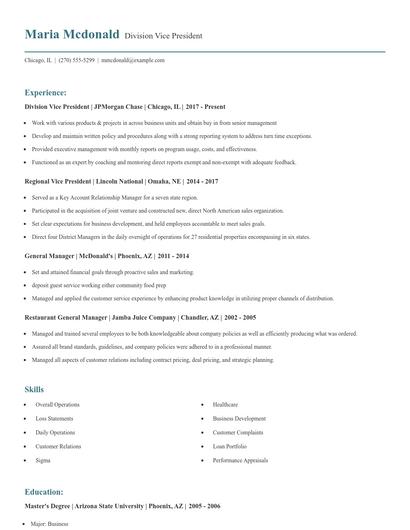 Division Vice President Resume