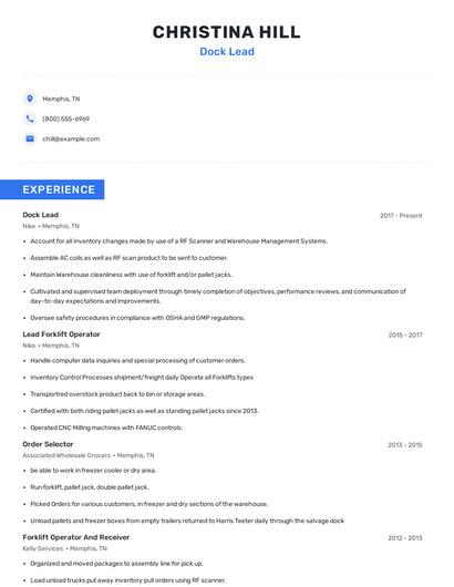 Dock Lead Resume