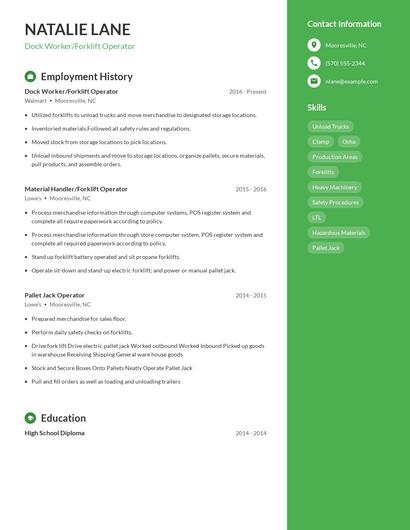 Resume example 5