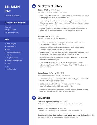 Doctoral Fellow Resume