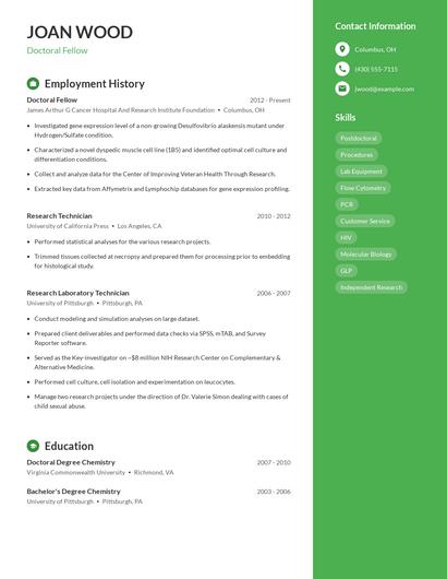 Resume example 5