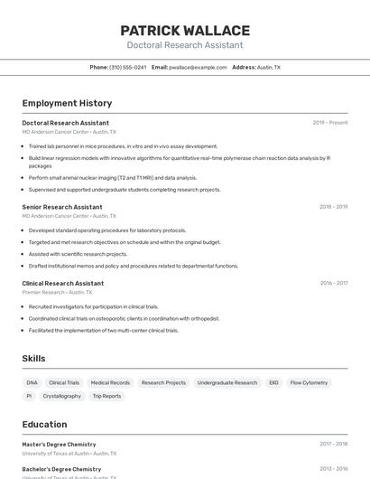 Resume example 2