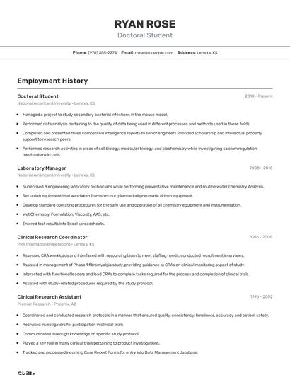 Resume example 2