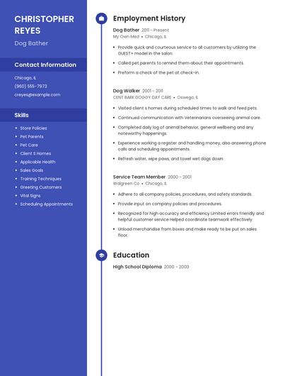 Resume example 4