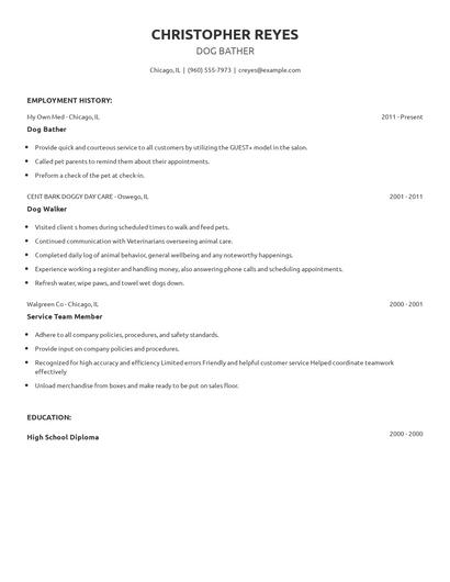Dog Bather Resume
