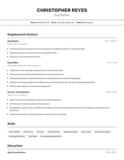 Resume example 2