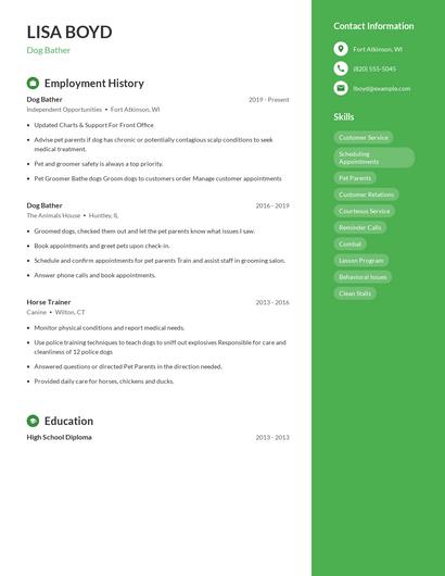 Resume example 5