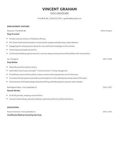 Dog Groomer Resume