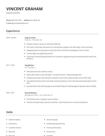 Dog Groomer Resume