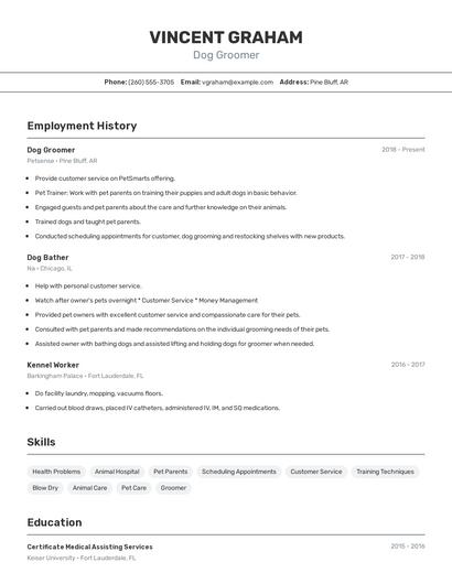 Dog Groomer Resume