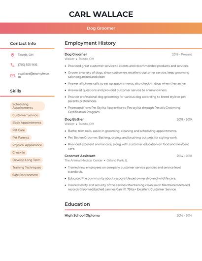 Dog Groomer Resume