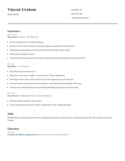 Dog Groomer Resume
