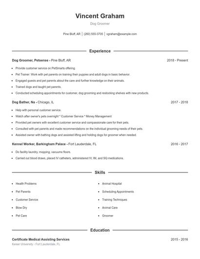 Dog Groomer Resume