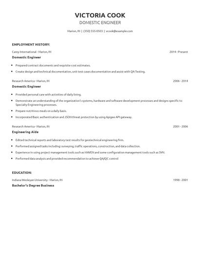 Domestic Engineer Resume