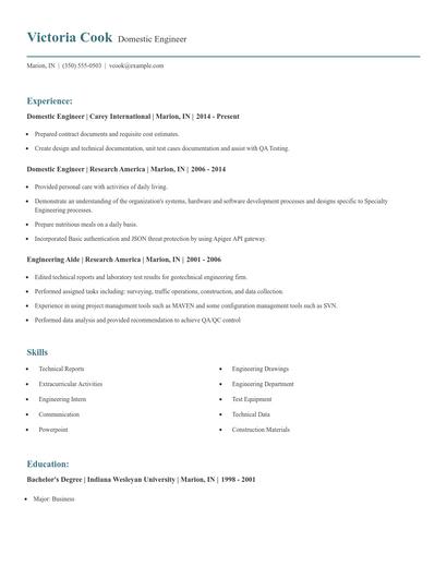 Domestic Engineer Resume