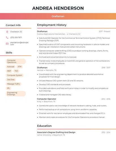 Resume example 3