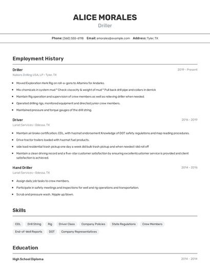 Resume example 2