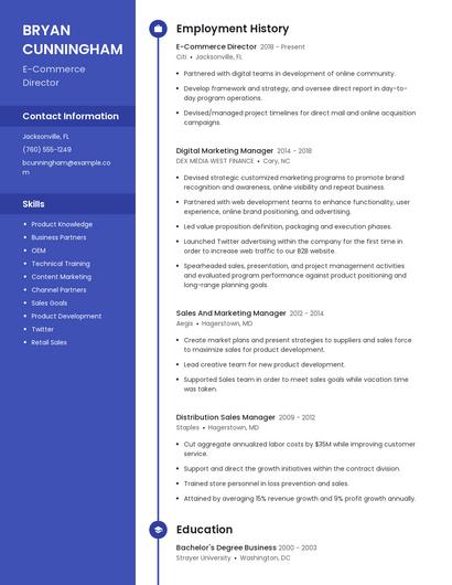 E-Commerce Director Resume
