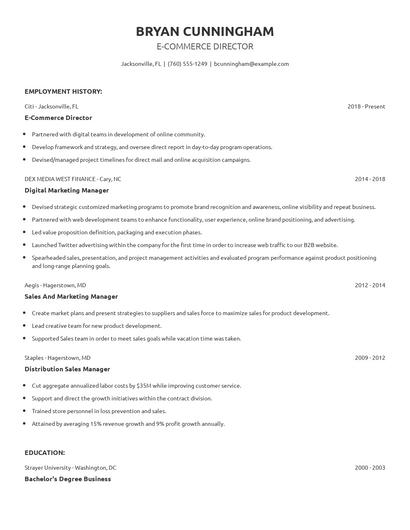 E-Commerce Director Resume