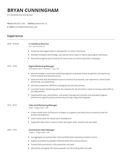 E-Commerce Director Resume