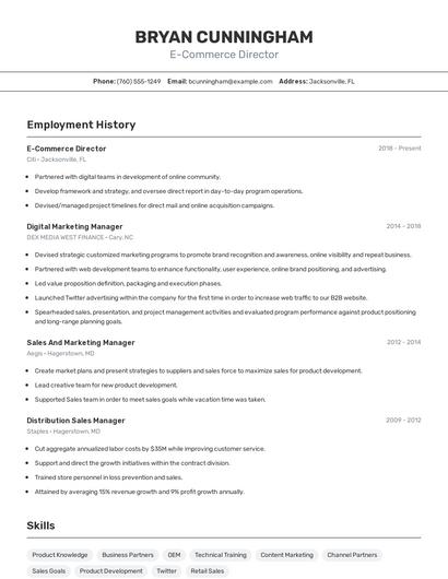 E-Commerce Director Resume