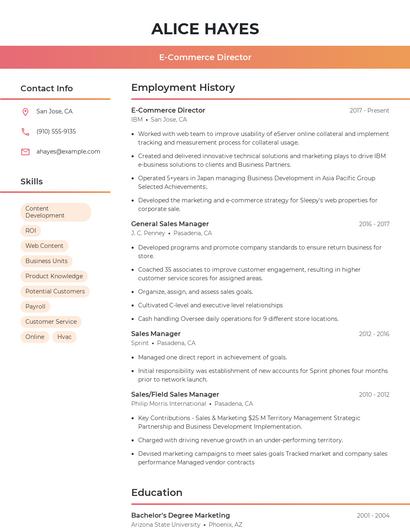 E-Commerce Director Resume