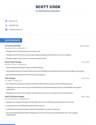 E-Commerce Director Resume