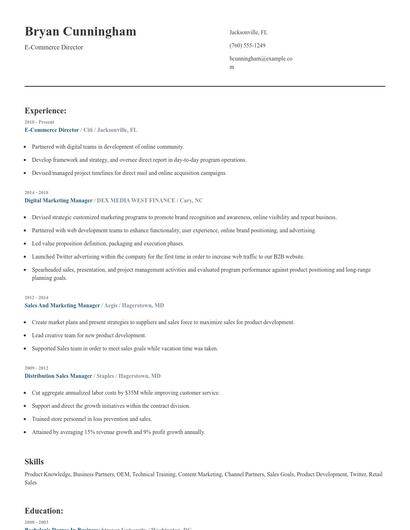 E-Commerce Director Resume