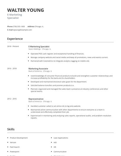 E-Marketing Specialist Resume