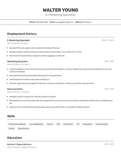 E-Marketing Specialist Resume
