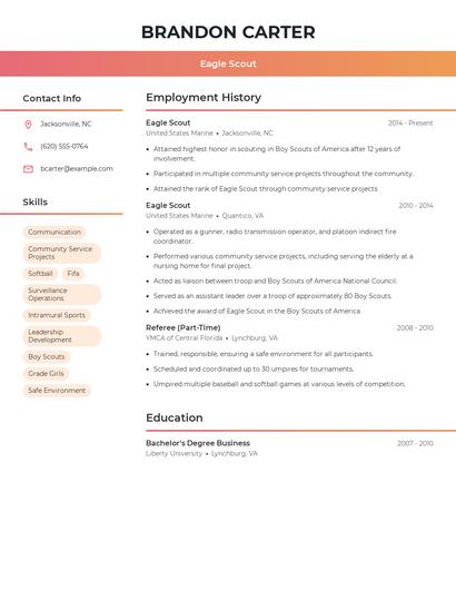 Resume example 3