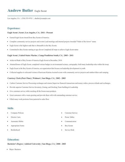 Eagle Scout Resume