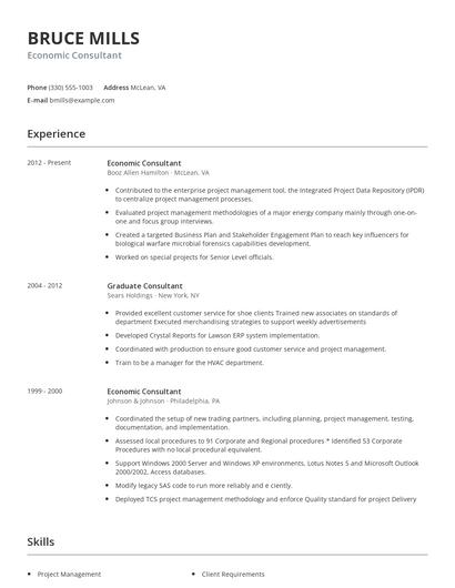 Economic Consultant Resume