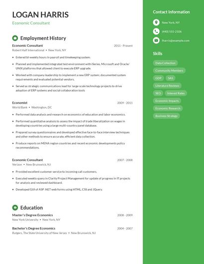 Economic Consultant Resume