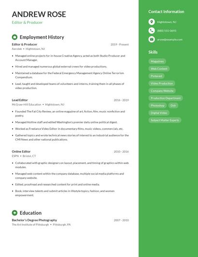Resume example 4