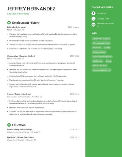 Resume example 4