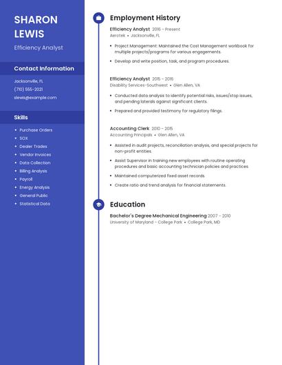 Efficiency Analyst Resume