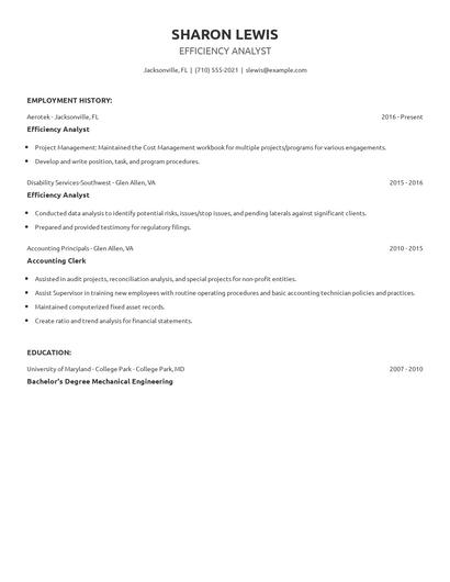 Efficiency Analyst Resume