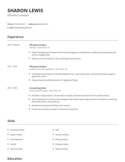 Efficiency Analyst Resume