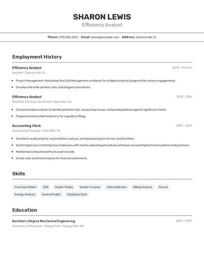 Efficiency Analyst Resume