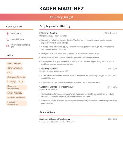 Efficiency Analyst Resume