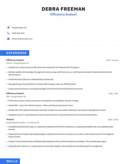 Efficiency Analyst Resume