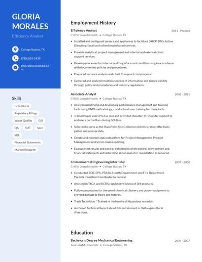 Efficiency Analyst Resume