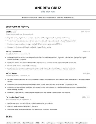 Resume example 2