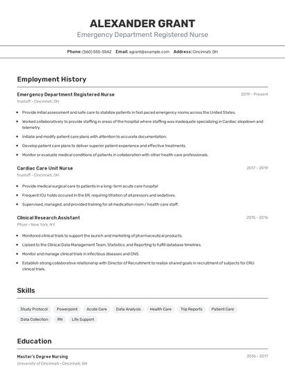 Resume example 2